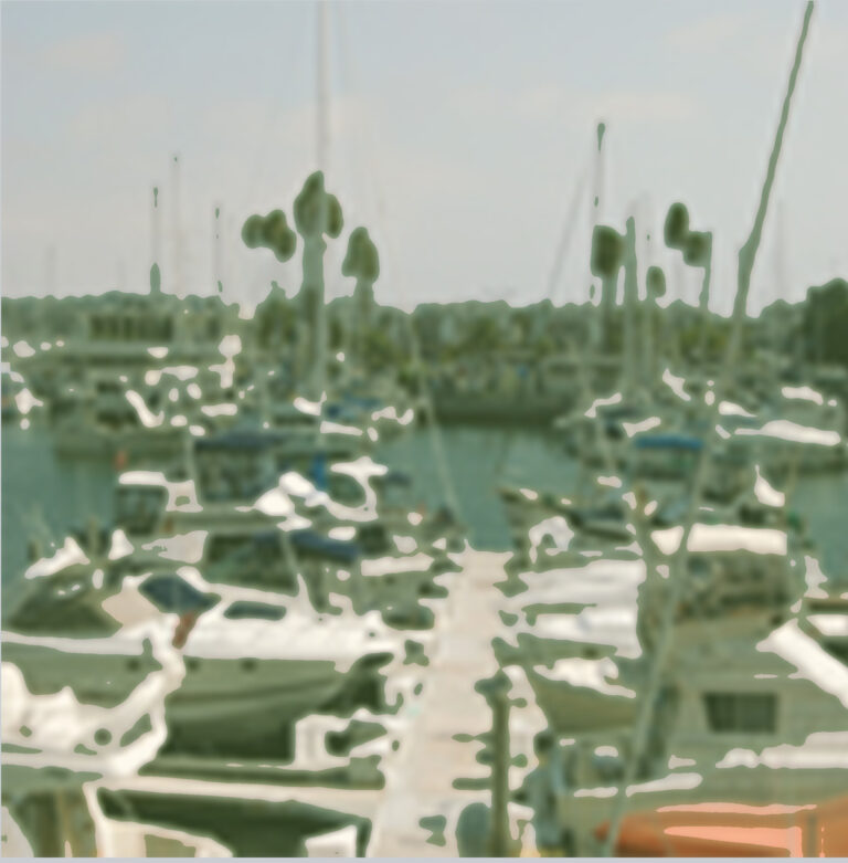 An Enchanting Day Ritz-Carlton Marina Del Rey
