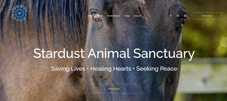 Stardust Animal Sanctuary: A Haven for Unadoptable Lives